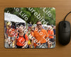 Evenement foto: Nijmeegse Vierdaagse 763