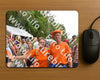 Evenement foto: Nijmeegse Vierdaagse 763