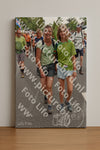 Evenement foto: Nijmeegse Vierdaagse 763