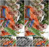 Evenement foto: Nijmeegse Vierdaagse 763