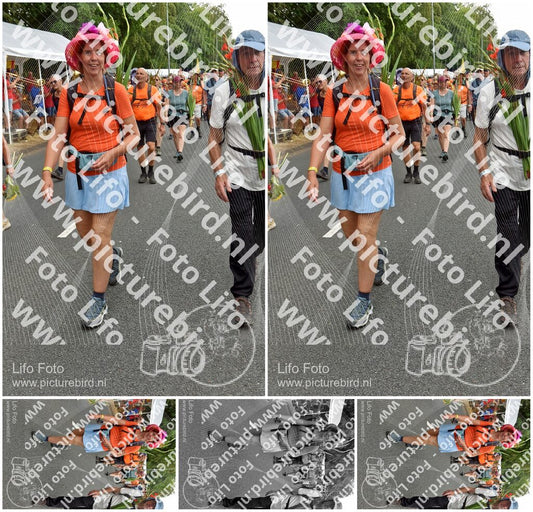 Evenement foto: Nijmeegse Vierdaagse 763