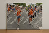 Evenement foto: Nijmeegse Vierdaagse 753