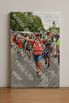Evenement foto: Nijmeegse Vierdaagse 753