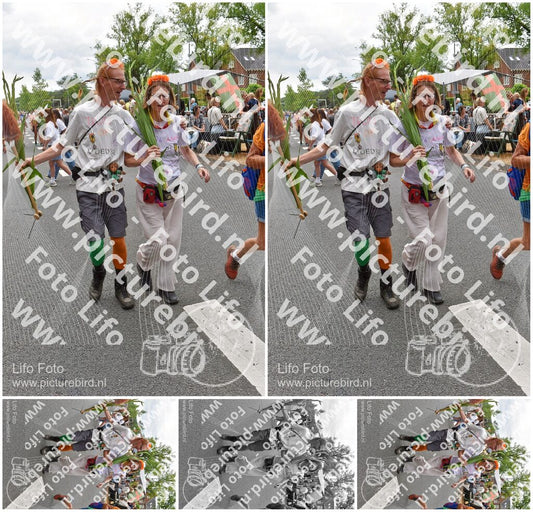Evenement foto: Nijmeegse Vierdaagse 753