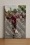 Evenement foto: Nijmeegse Vierdaagse 753