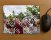 Evenement foto: Nijmeegse Vierdaagse 753