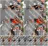 Evenement foto: Nijmeegse Vierdaagse 753