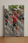 Evenement foto: Nijmeegse Vierdaagse 753