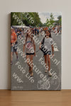 Evenement foto: Nijmeegse Vierdaagse 753