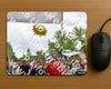 Evenement foto: Nijmeegse Vierdaagse 753