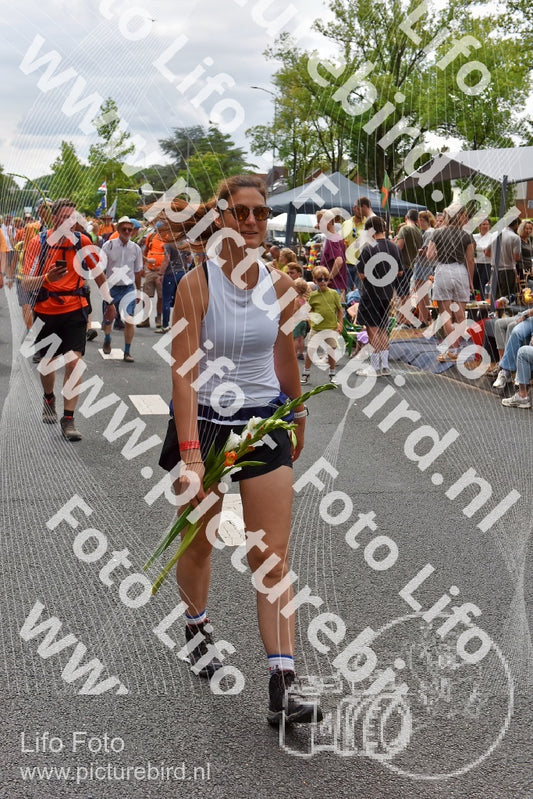 Evenement foto: Nijmeegse Vierdaagse 753