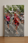 Evenement foto: Nijmeegse Vierdaagse 753