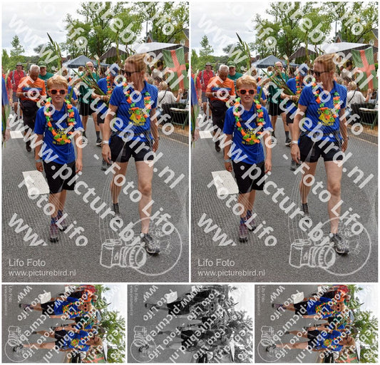 Evenement foto: Nijmeegse Vierdaagse 753