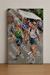 Evenement foto: Nijmeegse Vierdaagse 753