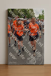 Evenement foto: Nijmeegse Vierdaagse 753