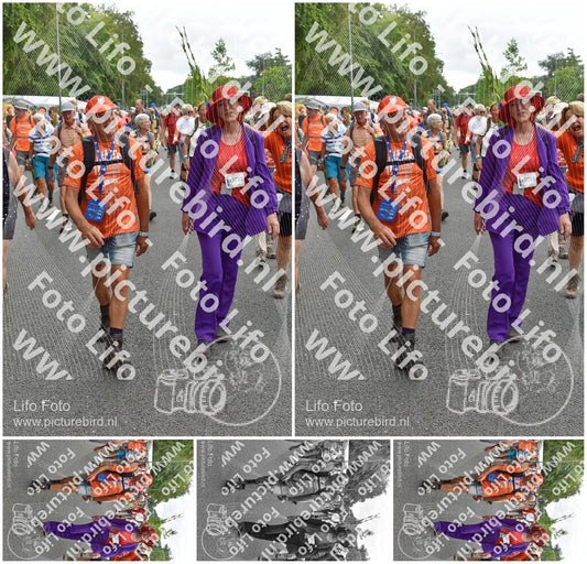 Evenement foto: Nijmeegse Vierdaagse 753
