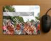 Evenement foto: Nijmeegse Vierdaagse 753
