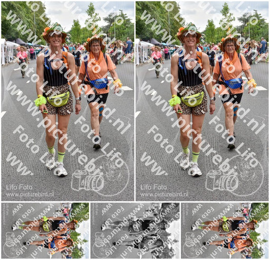 Evenement foto: Nijmeegse Vierdaagse 752