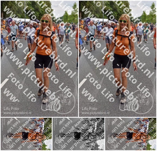 Evenement foto: Nijmeegse Vierdaagse 752
