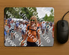Evenement foto: Nijmeegse Vierdaagse 752