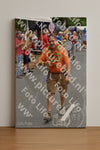 Evenement foto: Nijmeegse Vierdaagse 752