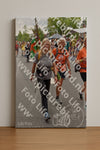 Evenement foto: Nijmeegse Vierdaagse 752
