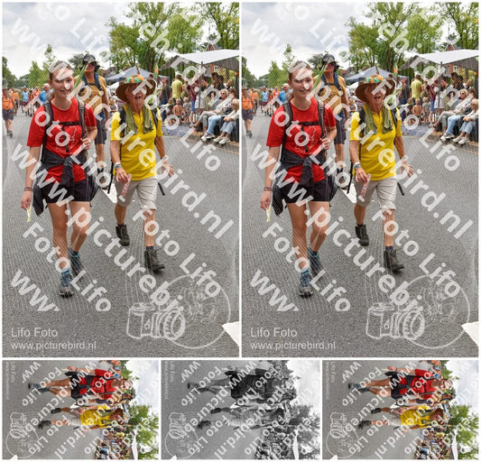 Evenement foto: Nijmeegse Vierdaagse 752