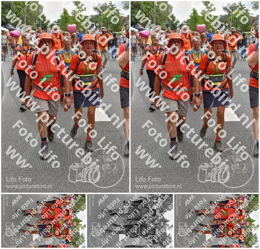 Evenement foto: Nijmeegse Vierdaagse 752