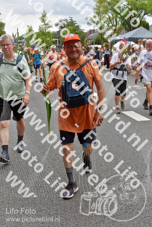 Evenement foto: Nijmeegse Vierdaagse 752
