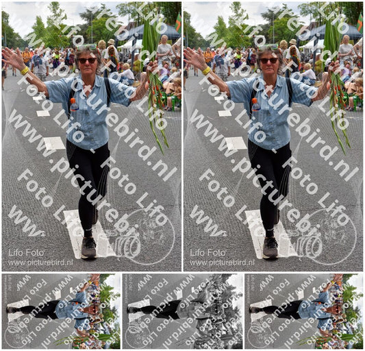 Evenement foto: Nijmeegse Vierdaagse 752