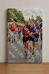 Evenement foto: Nijmeegse Vierdaagse 752
