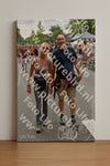 Evenement foto: Nijmeegse Vierdaagse 752