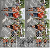 Evenement foto: Nijmeegse Vierdaagse 752