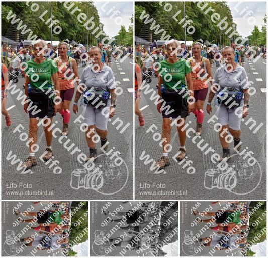 Evenement foto: Nijmeegse Vierdaagse 752