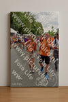 Evenement foto: Nijmeegse Vierdaagse 752