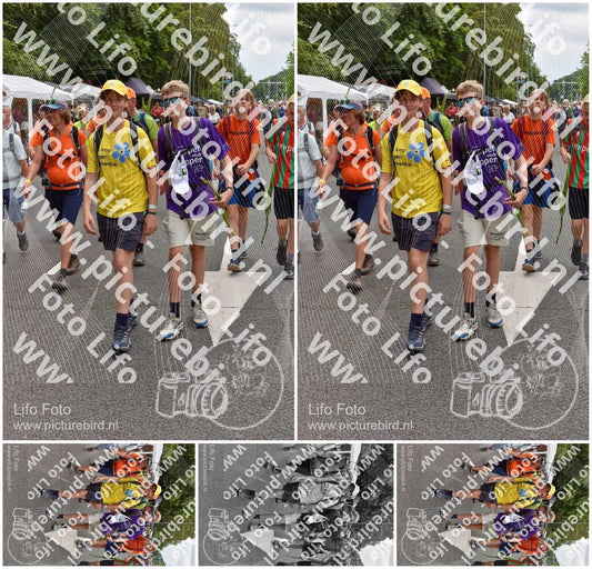 Evenement foto: Nijmeegse Vierdaagse 751