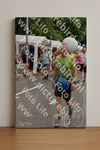 Evenement foto: Nijmeegse Vierdaagse 751