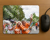 Evenement foto: Nijmeegse Vierdaagse 751