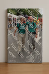 Evenement foto: Nijmeegse Vierdaagse 751