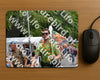 Evenement foto: Nijmeegse Vierdaagse 751