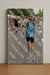Evenement foto: Nijmeegse Vierdaagse 751