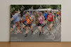 Evenement foto: Nijmeegse Vierdaagse 751