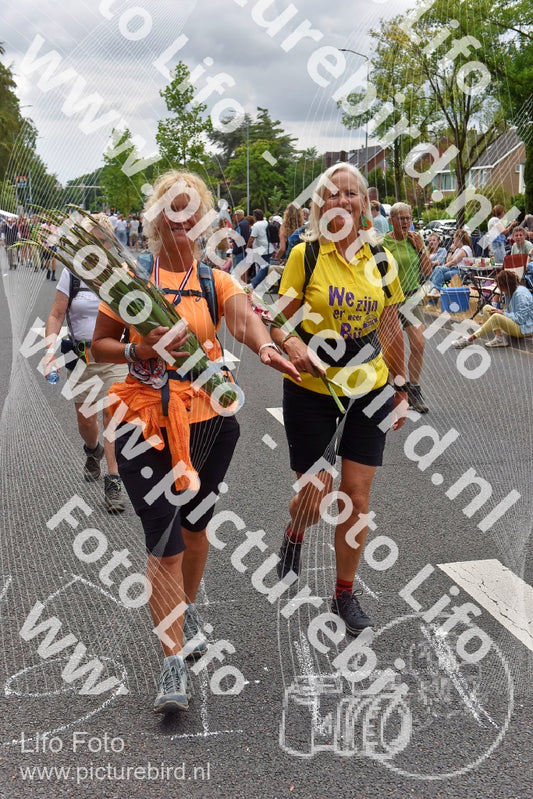 Evenement foto: Nijmeegse Vierdaagse 751