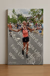 Evenement foto: Nijmeegse Vierdaagse 751