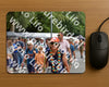 Evenement foto: Nijmeegse Vierdaagse 751