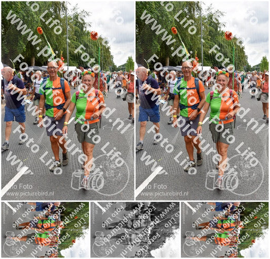 Evenement foto: Nijmeegse Vierdaagse 751