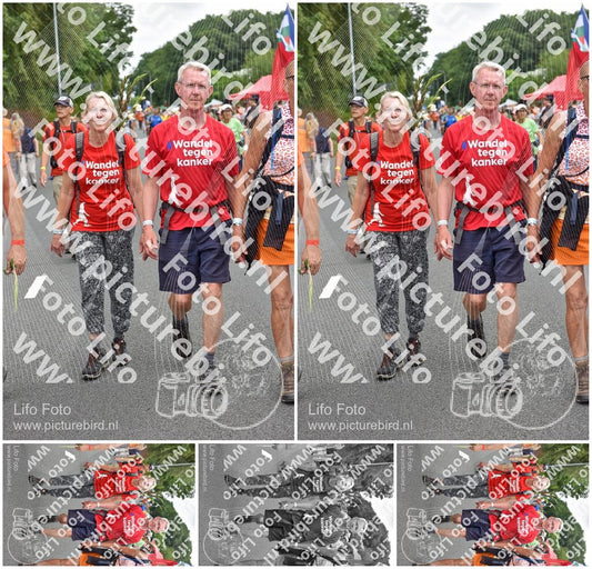 Evenement foto: Nijmeegse Vierdaagse 750