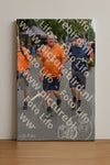 Evenement foto: Nijmeegse Vierdaagse 750