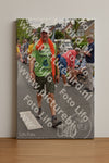 Evenement foto: Nijmeegse Vierdaagse 750