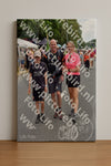 Evenement foto: Nijmeegse Vierdaagse 750
